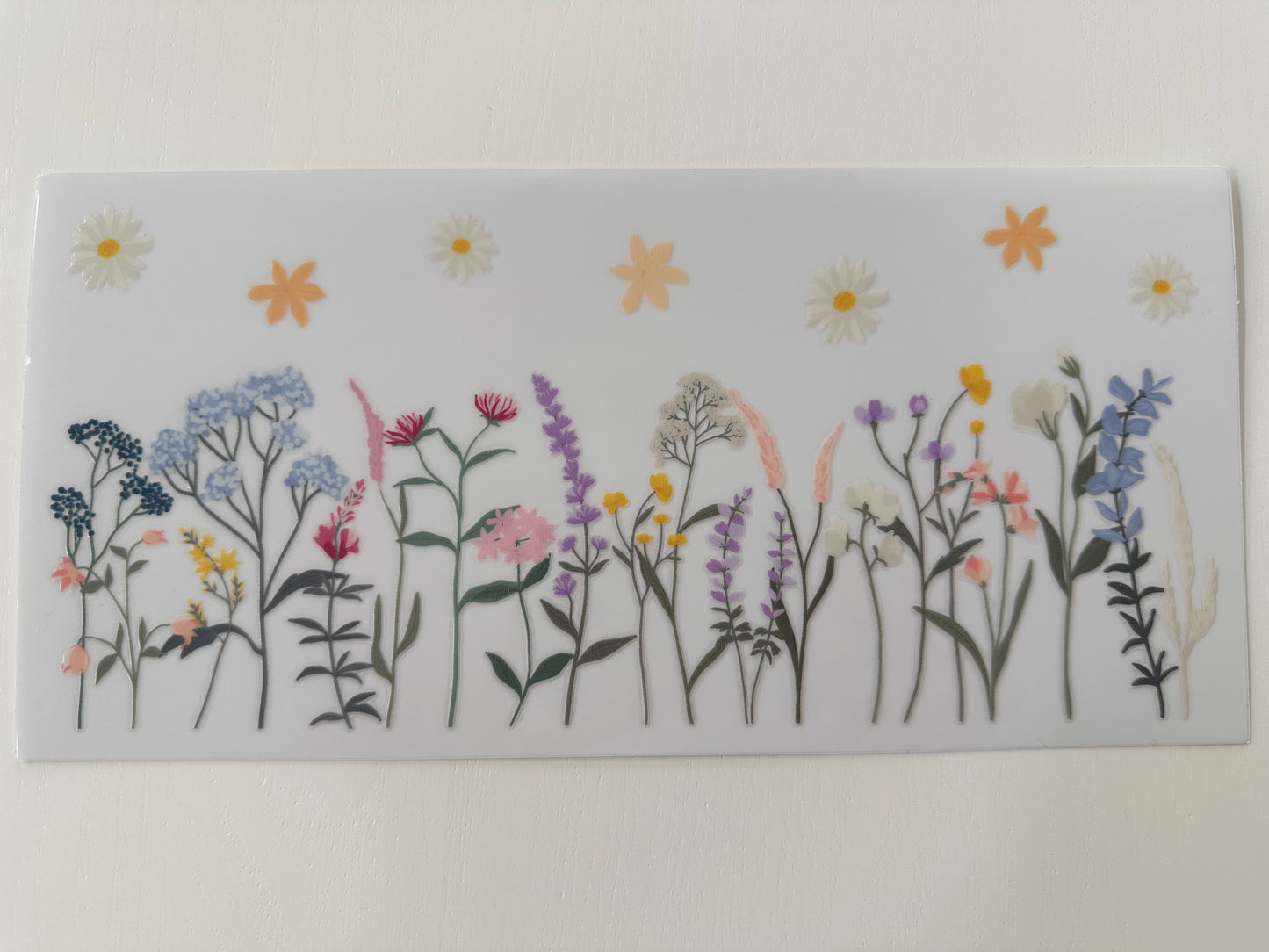 Wildflower #1