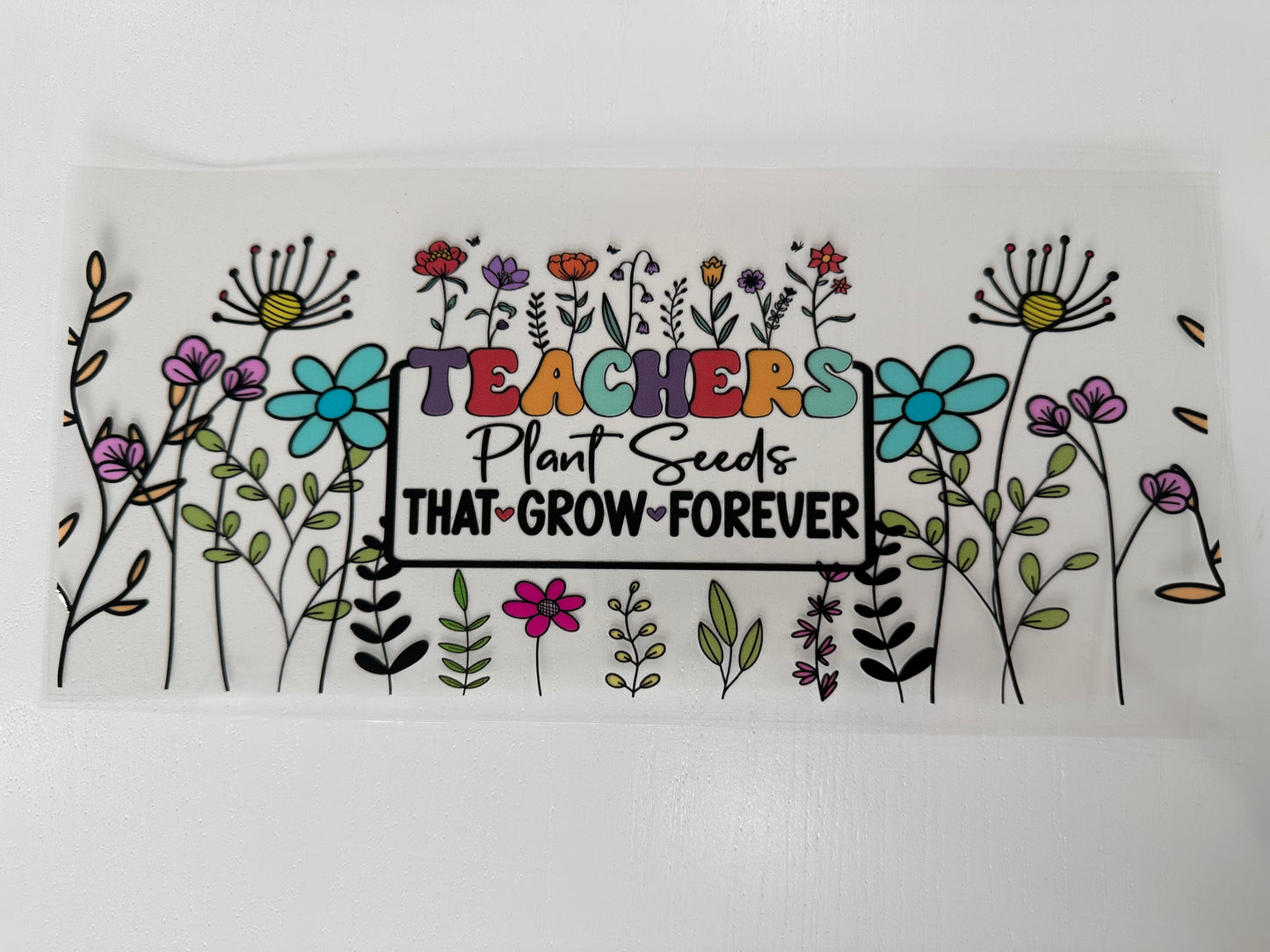 Teachers Plant Seeds