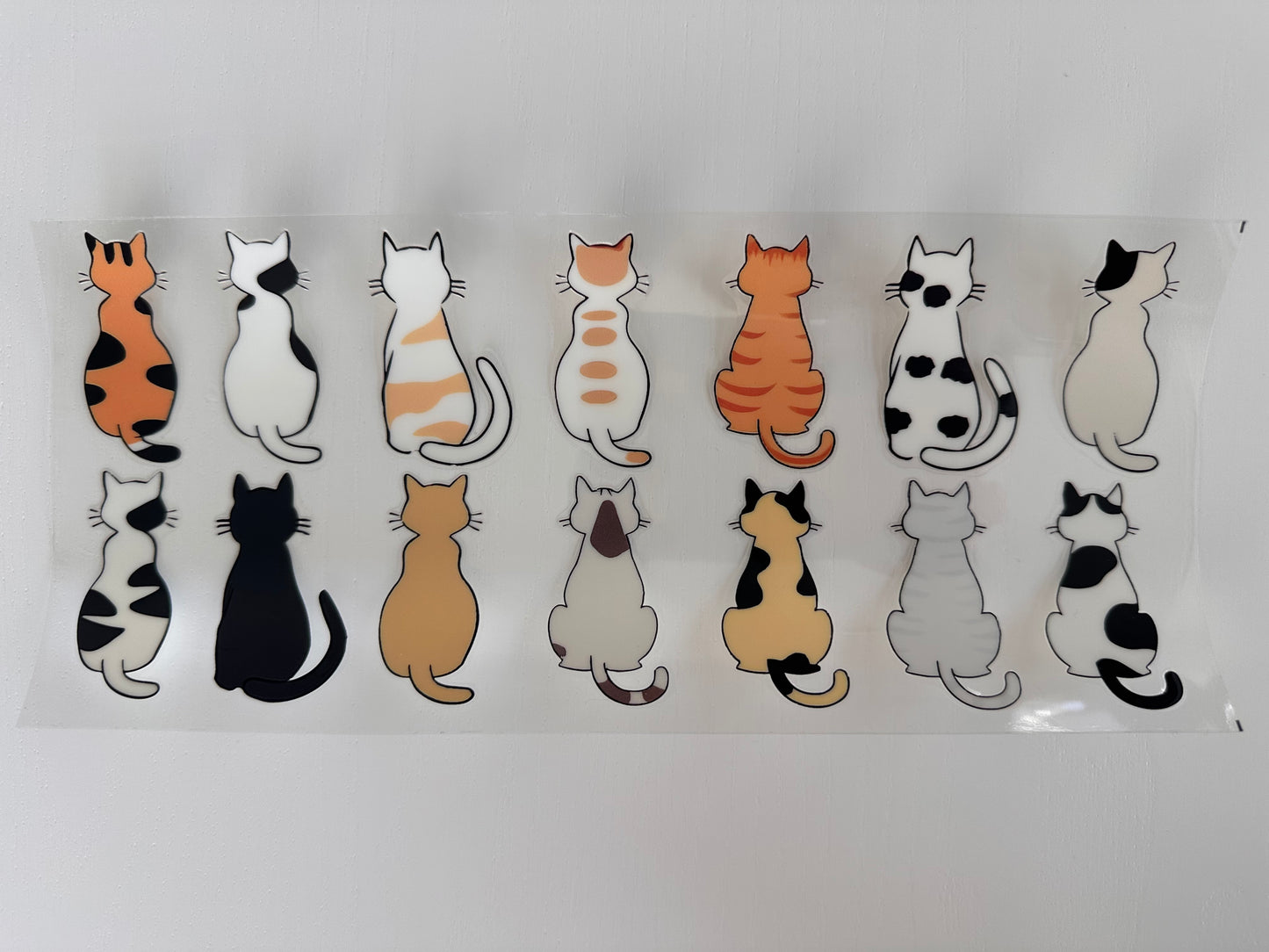 Cat Back