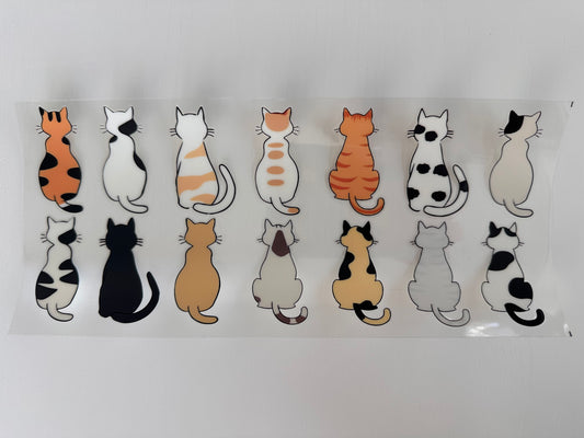Cat Back