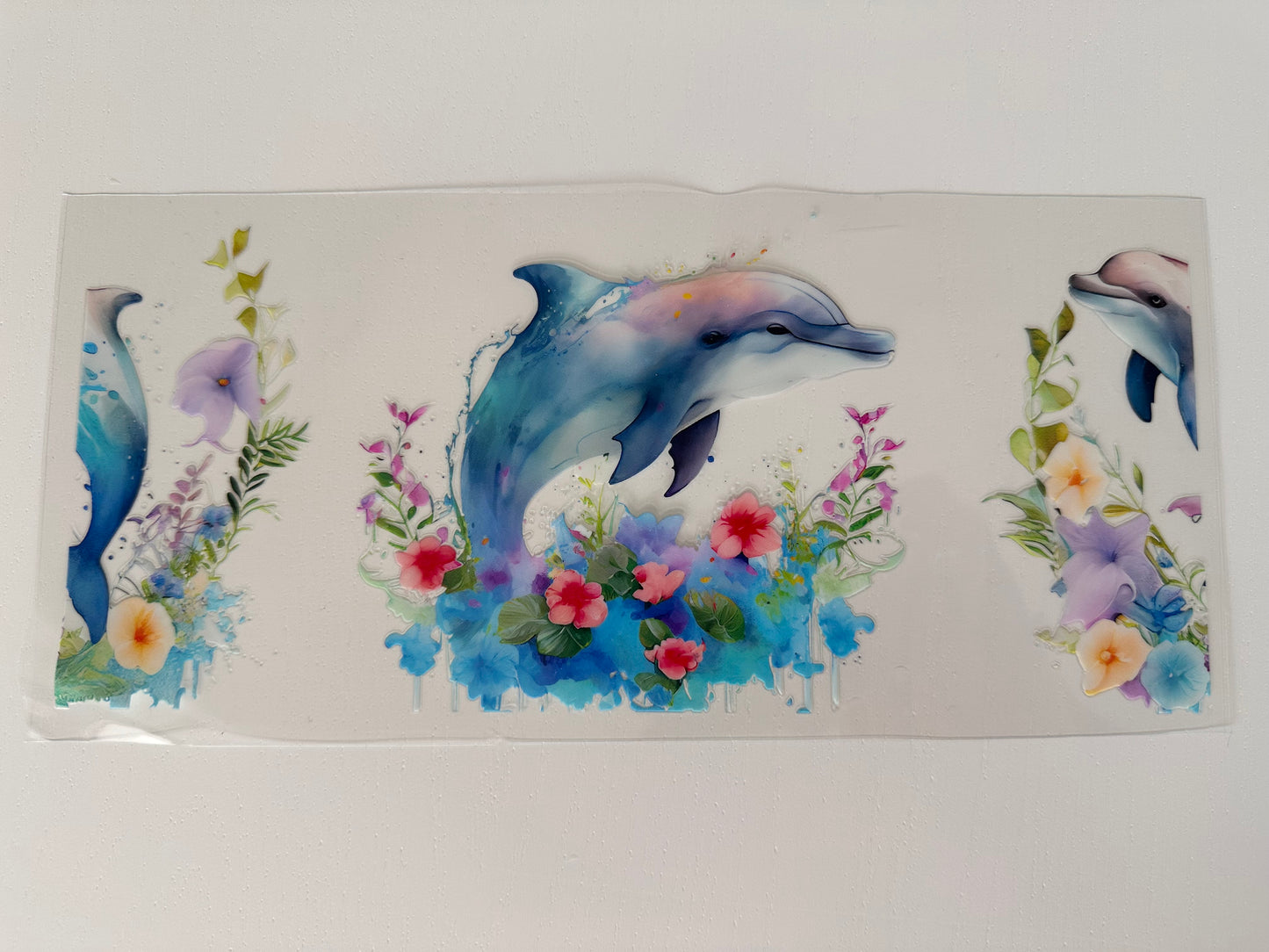 Dolphin