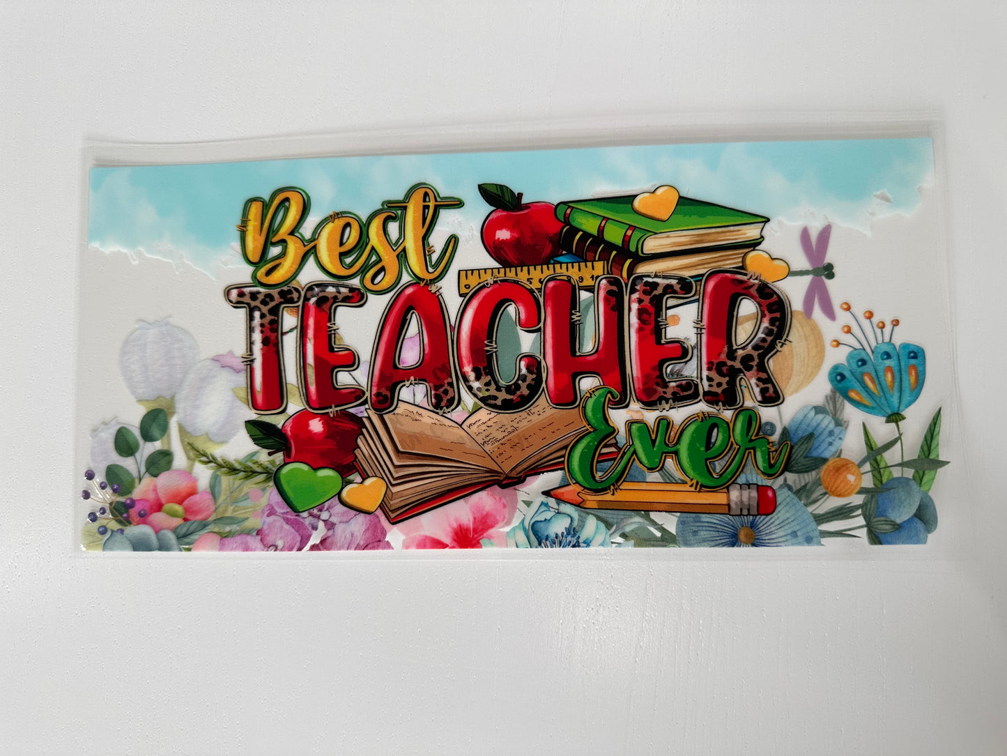 Best Teacher Ever #3