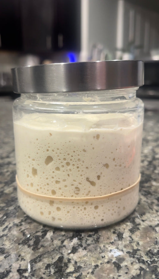 Dehydrated SourDough Starter “Bubbly”