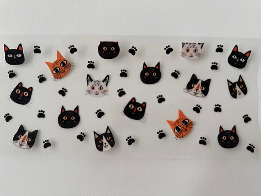 Cat Group #2
