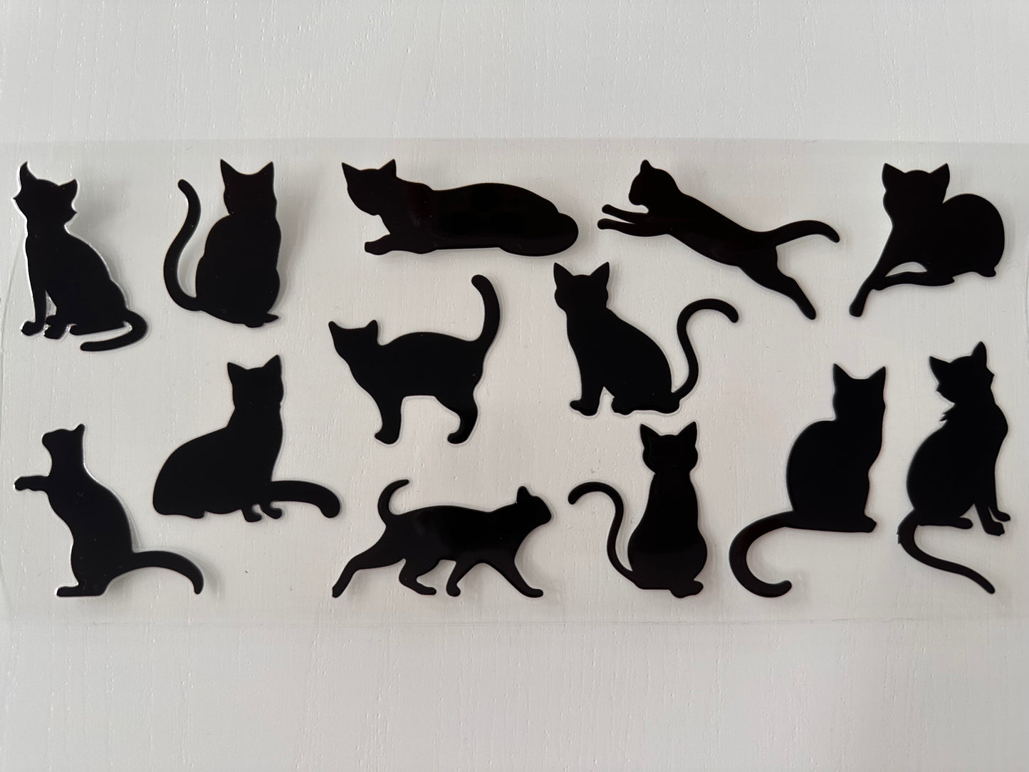 Black Cats